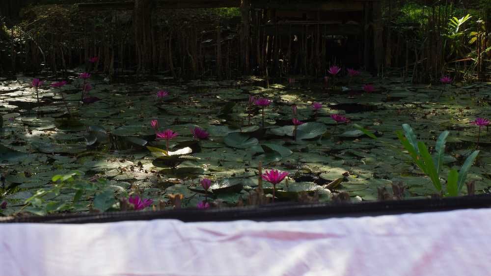 "Camp Kush" By Hostel Unawatuna Exterior foto