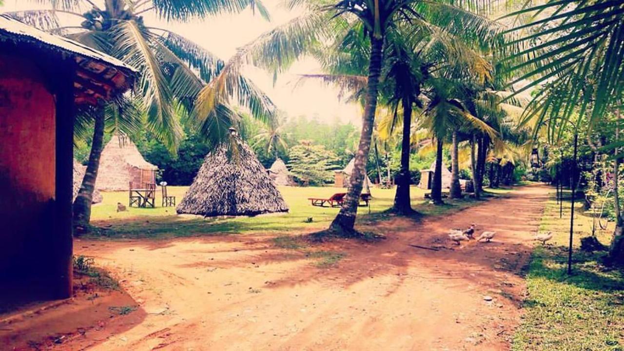 "Camp Kush" By Hostel Unawatuna Exterior foto