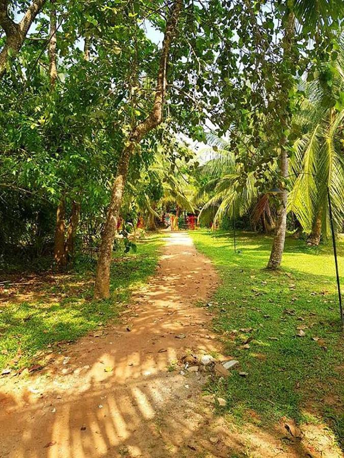 "Camp Kush" By Hostel Unawatuna Exterior foto